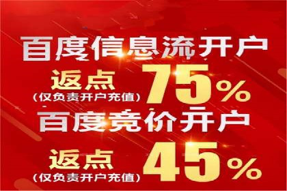 行业领先企业的百度广告推广经验分享